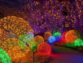 Angélical: las Luces del Botánico repiten esta Navidad en Málaga con un nuevo espectáculo