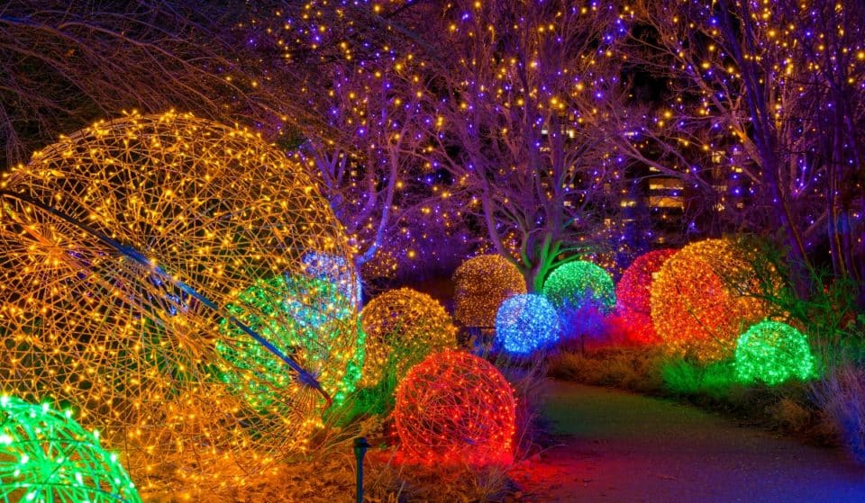 Las luces del Botánico repiten esta Navidad en Málaga con un nuevo espectáculo